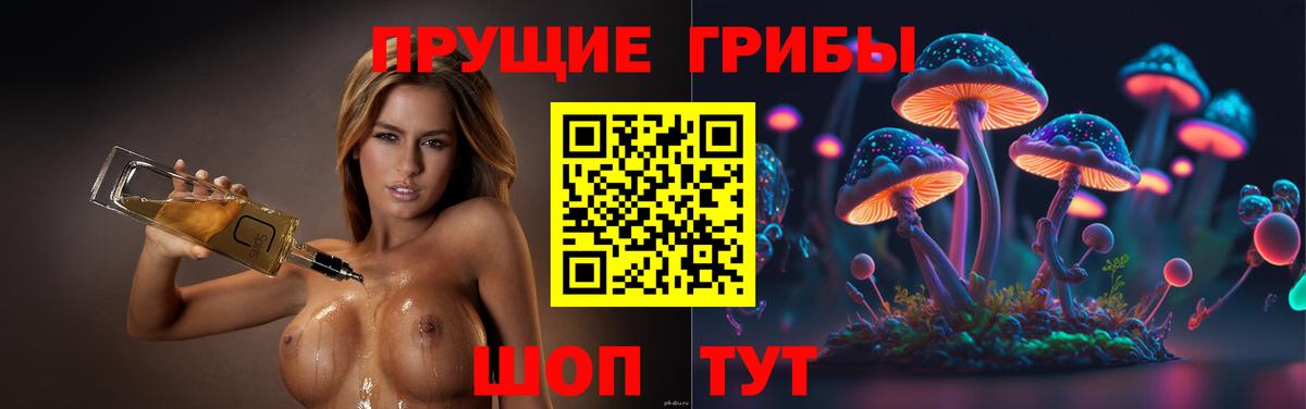 Михайловка  Галлюциногенные грибы мицелий  Галлюциногенные грибы MAGIC MUSHROOMS  Вход с VPN 